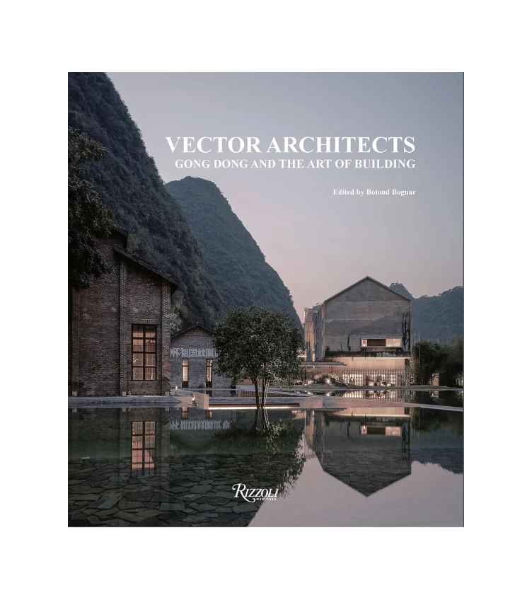 Книга Vector Architect